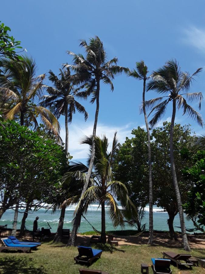 Palm Villa Mirissa Hotel&Spa Экстерьер фото