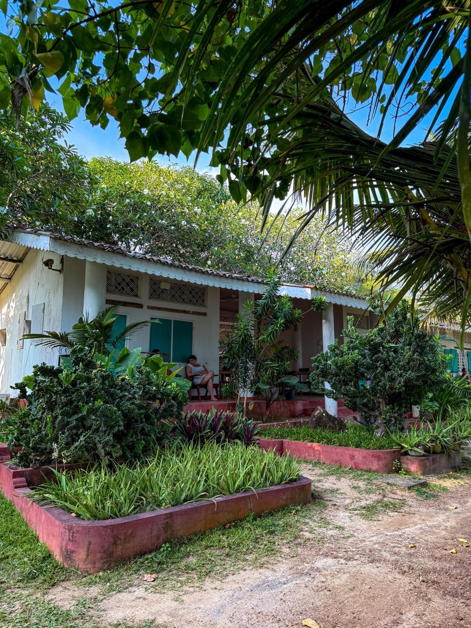 Palm Villa Mirissa Hotel&Spa Экстерьер фото